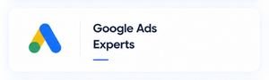 WikkiTech 3 Google Ads Expert