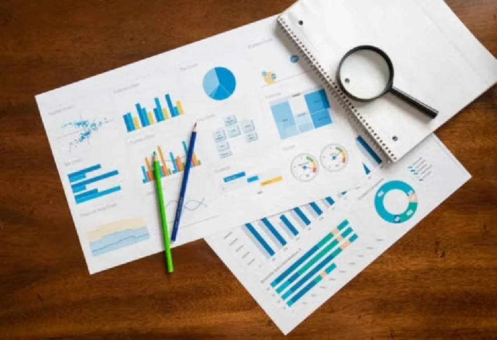 SEO audit report and analytics