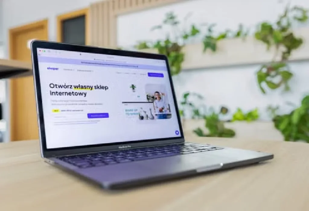 Business website development on desktop