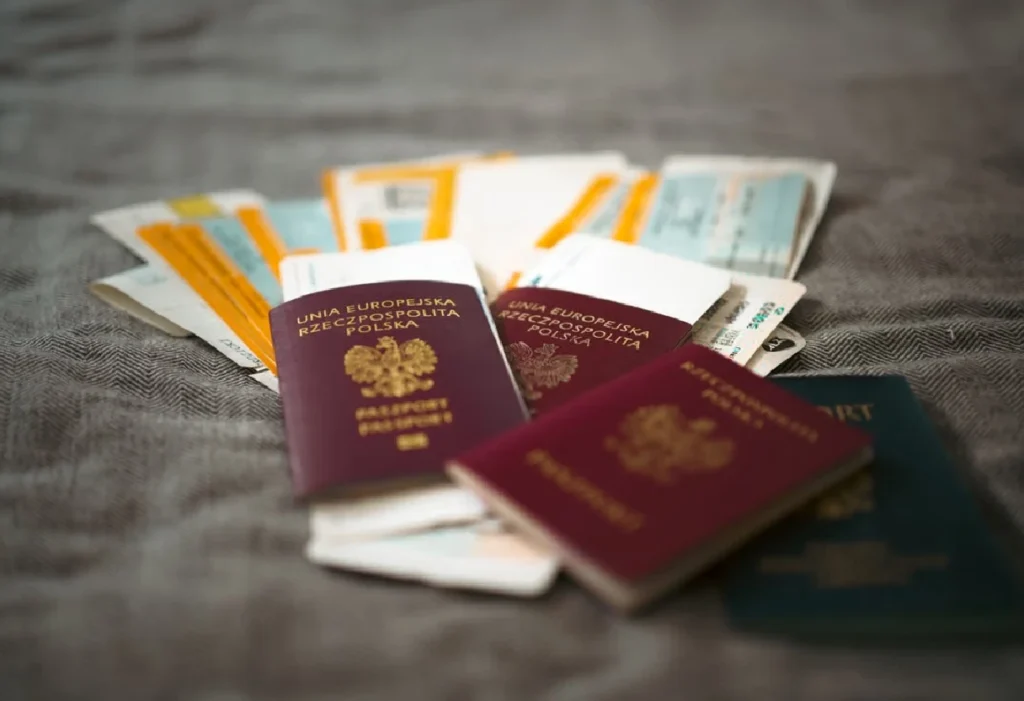 Visa consultancy service